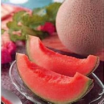 Cantaloupe melon seeds fresh pink heirloom variety for planting