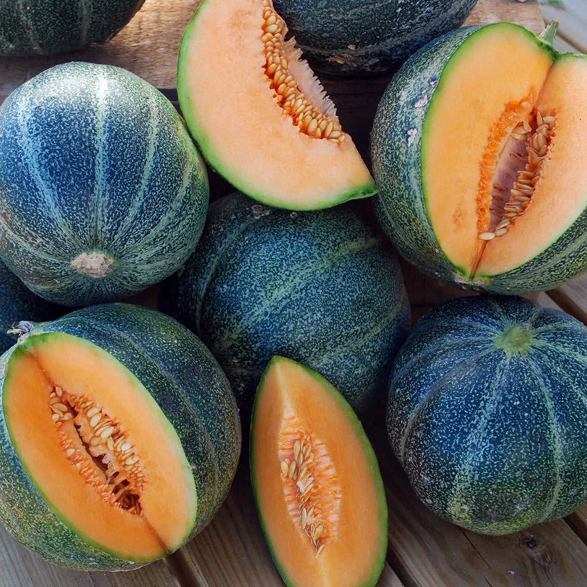Cantaloupe Seeds Blue Variety for planting with high germination