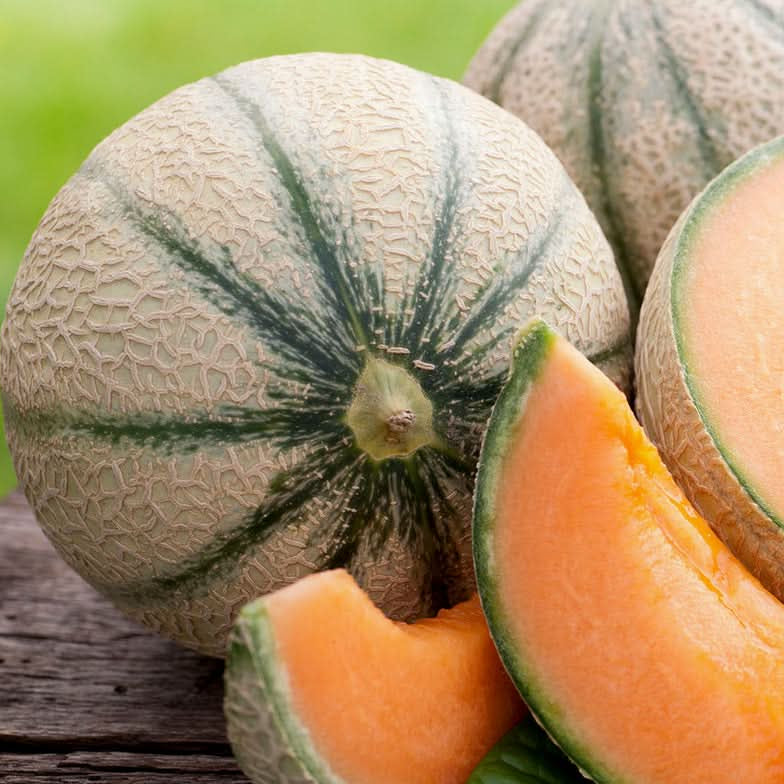 High quality Cantaloupe Seeds for planting home garden melons