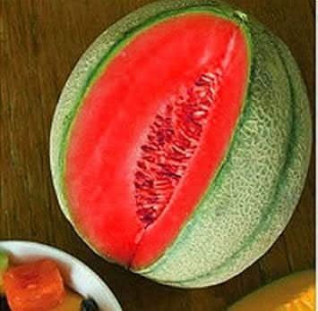 Pink cantaloupe seeds for planting warm season gardens