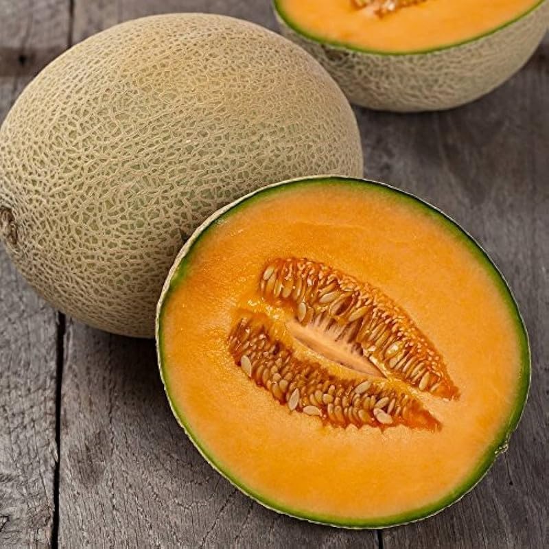Cantaloupe seeds ideal for warm season planting