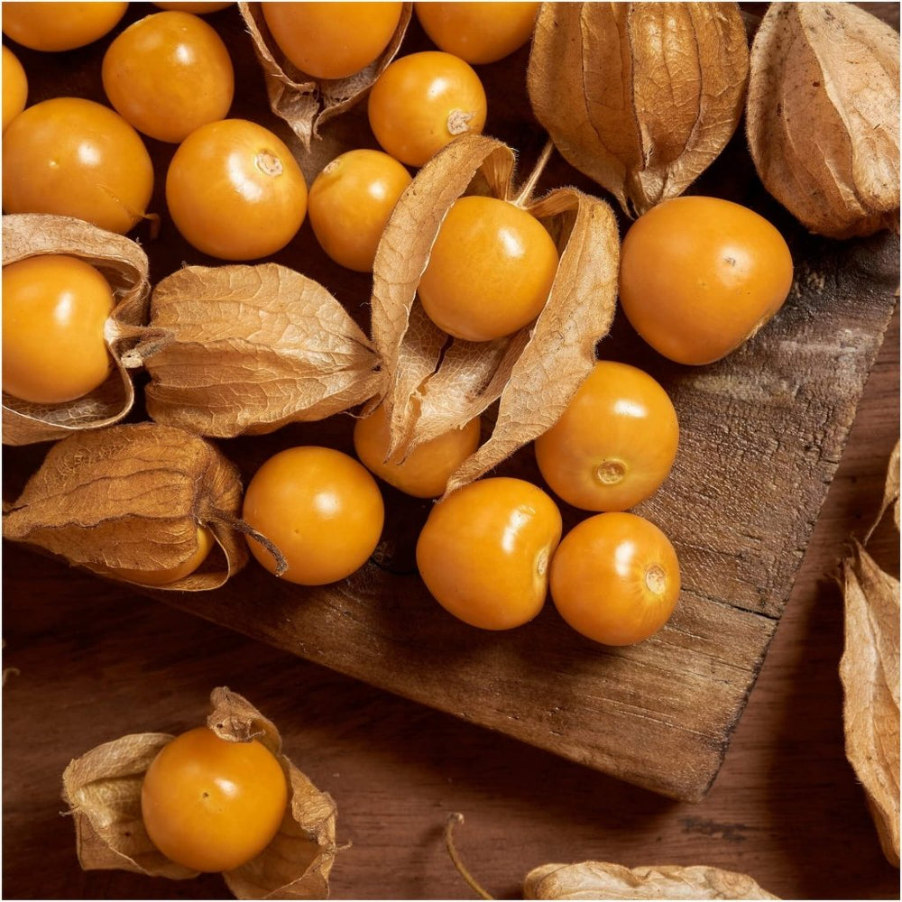 Uvilla (Physalis peruviana) – Sweet-Tart Goldenberry for Fresh Snacking and Culinary Delights