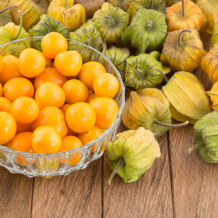 Uvilla (Physalis peruviana) – Sweet-Tart Goldenberry for Fresh Snacking and Culinary Delights