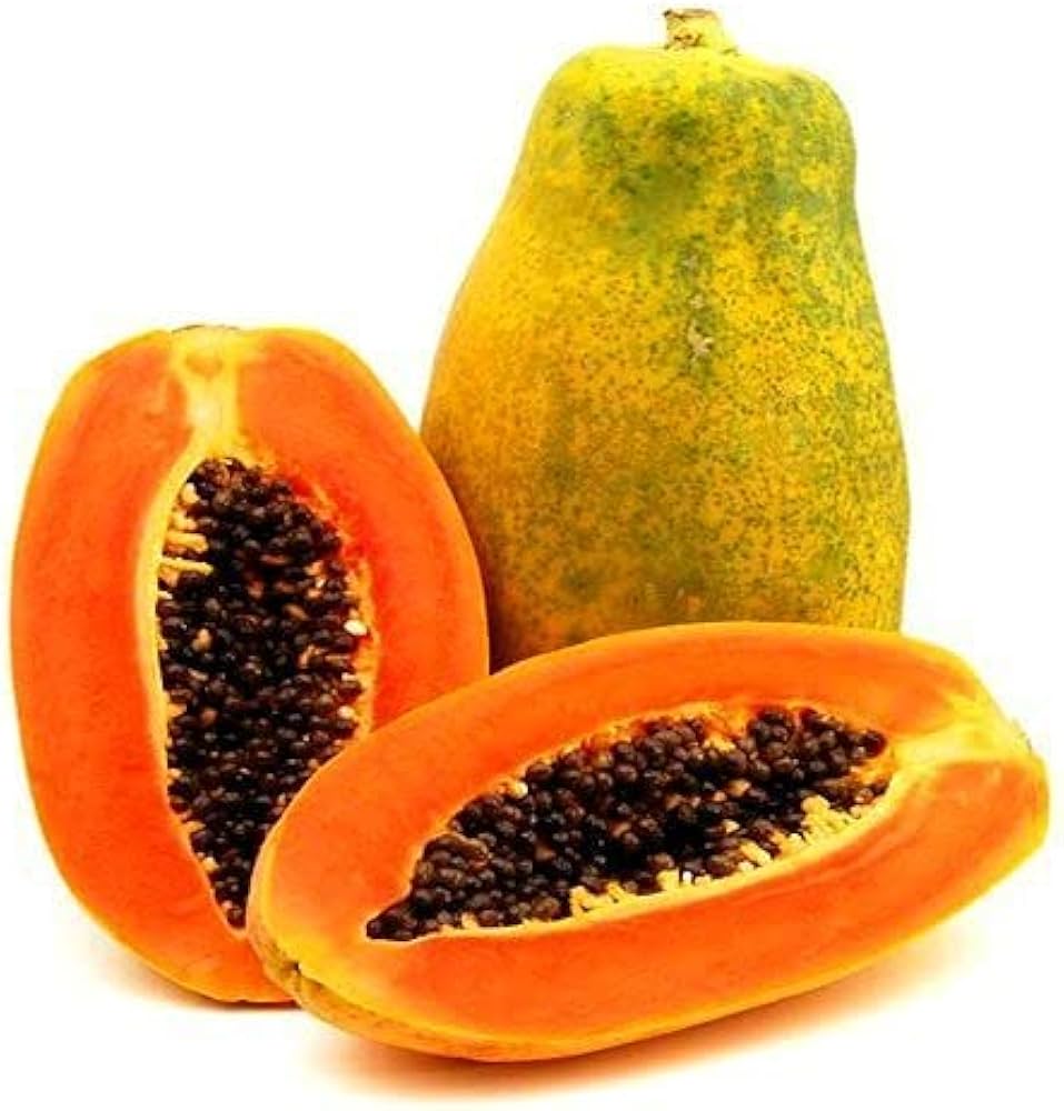 Carica papaya Non GMO seeds for tropical gardening