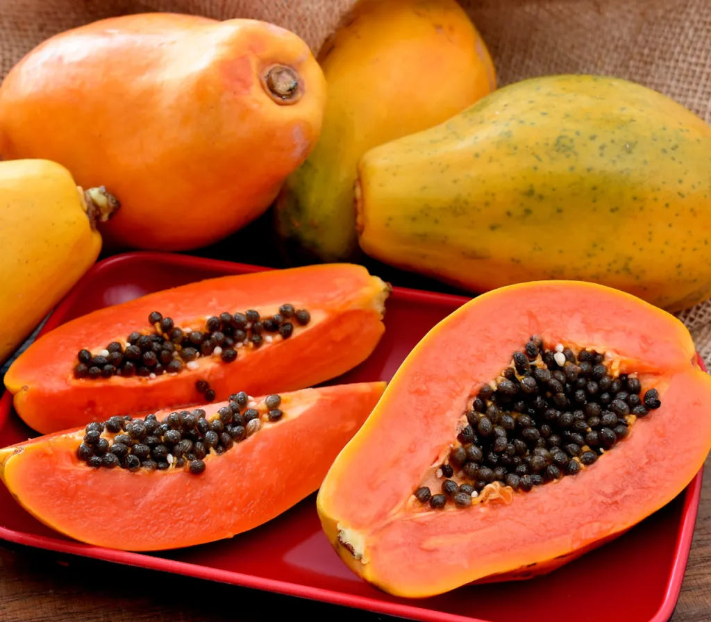 Papaya Seeds - Sweet Paradise