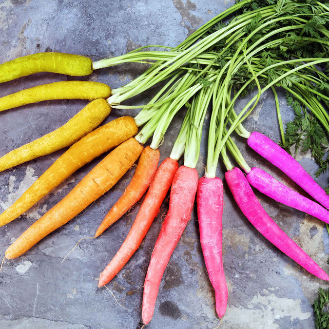 Carrot Seeds (Organic) - Rainbow Blend