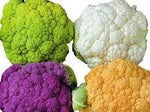 Cauliflower Seeds for Home Garden, 100 Pcs pcs - Dharaseeds