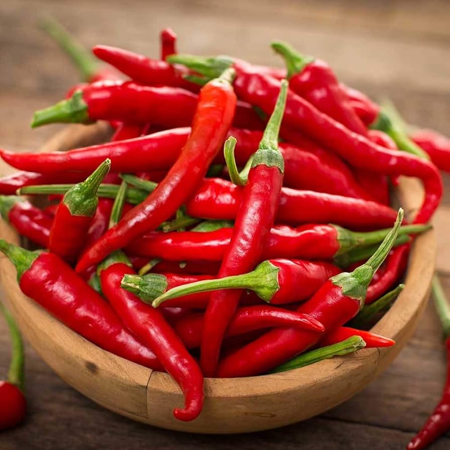 Cayenne pepper Capsicum annuum large red seeds for planting in backyard garden or pots for spicy harvest - Dharaseeds