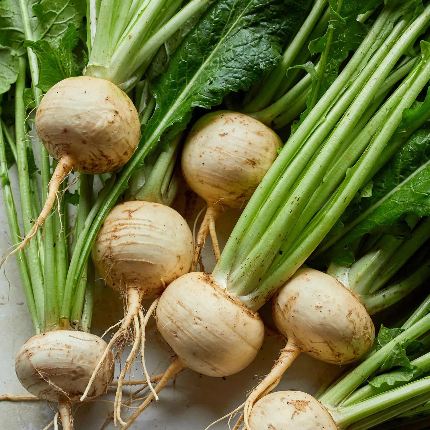 Golden Globe Turnip Seeds for Garden and Vegetable Planting