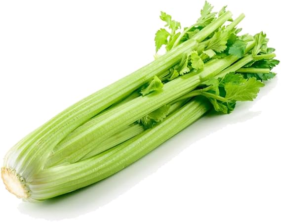 Celery Apium Graveolens Mini Annual Vegetable Seeds for Planting – Ideal for Small Space Gardening and Containers - Dharaseeds