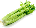 Celery Apium Graveolens Mini Annual Vegetable Seeds for Planting – Ideal for Small Space Gardening and Containers - Dharaseeds