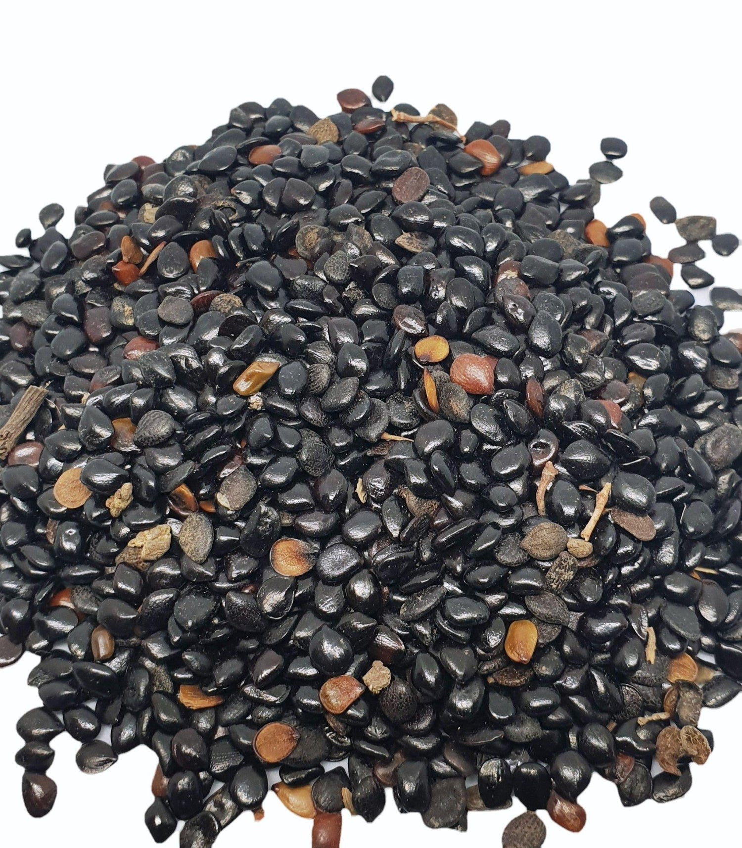 Cassia Absus Chasku Seeds – Medicinal Herb with Cultural Significance