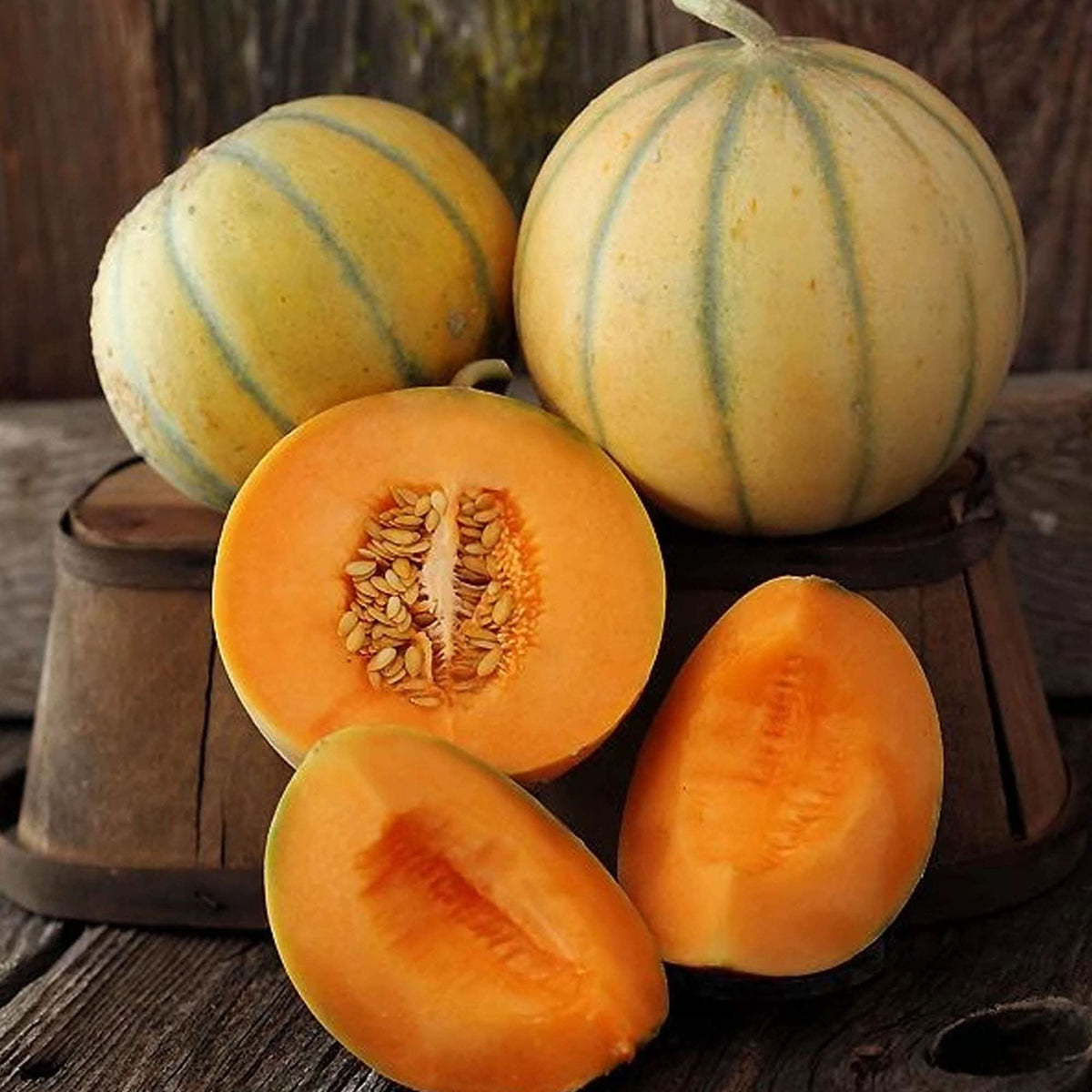 Charentais melon seeds heirloom non GMO for planting