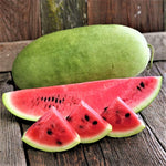 Charleston Gray watermelon seeds plant leaves and healthy vine