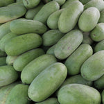 Charleston Gray watermelon seeds vine growth in home garden