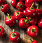 Cherry Pepper Imported heirloom non-GMO organic garden seeds