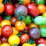 Cherry Tomato Vegetable Seeds for Planting, 100 Pcs pcs - Dharaseeds