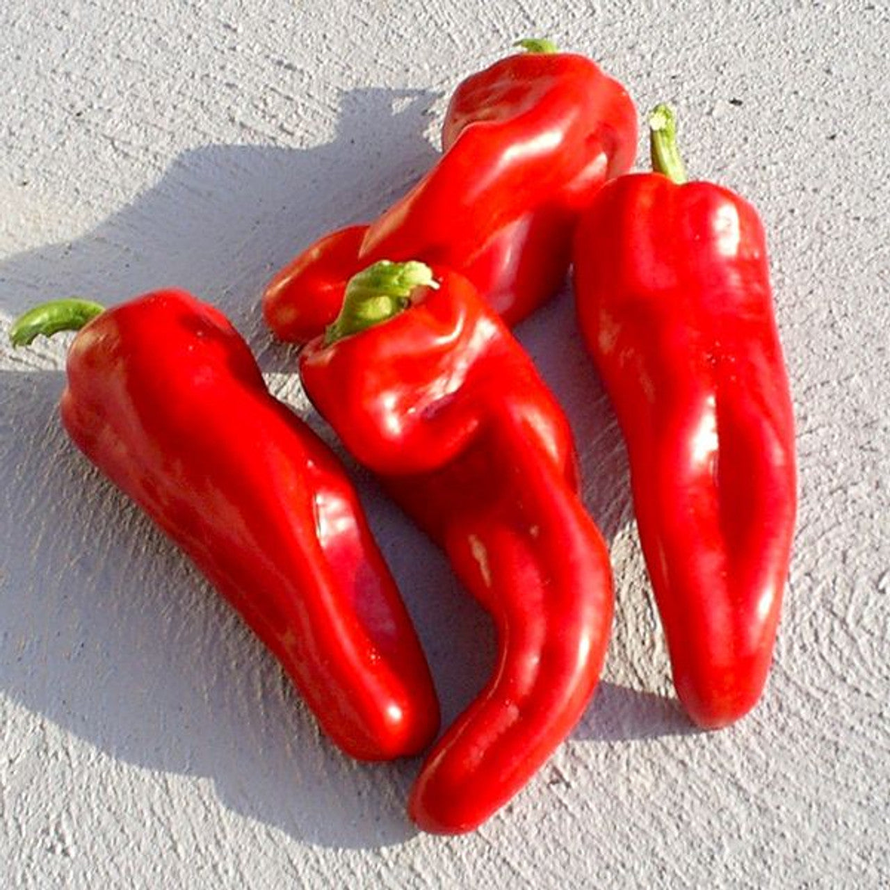 Kurtovska Kapia Vegetable Seeds for Planting