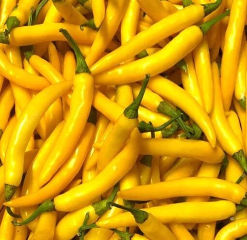 Chilli Yellow heirloom non-GMO organic garden seeds