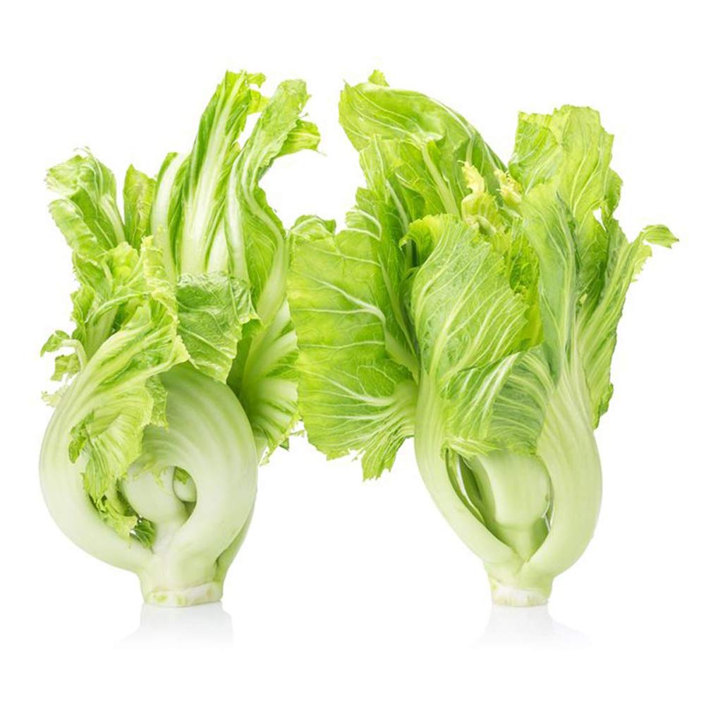 Chinese Mustard Seeds Brassica juncea for planting in vegetable garden