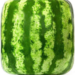 Chinese Watermelon Seeds High Germination Rate