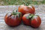 Chocolate Cherry tomato seeds – heirloom variety with sweet dark fruits - Dharaseeds