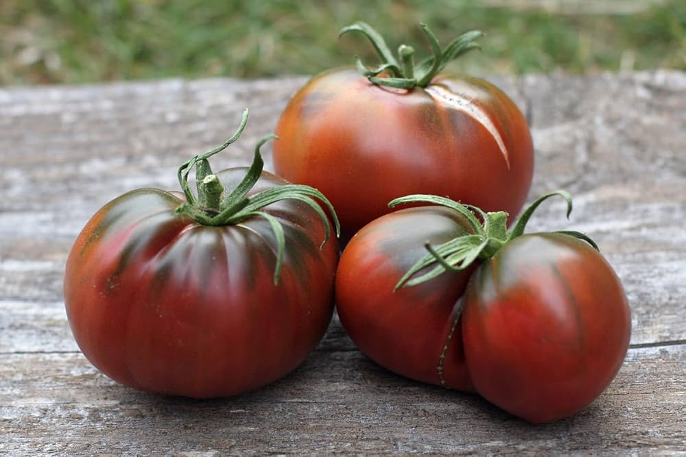 Chocolate Cherry tomato seeds – heirloom variety with sweet dark fruits - Dharaseeds