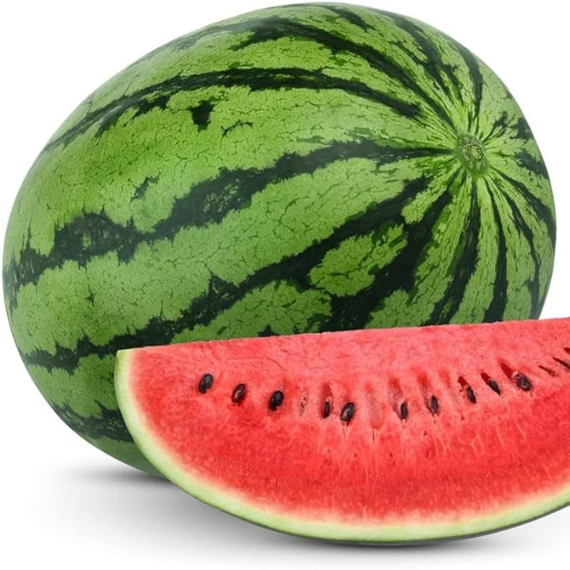 Citrullus Lanatus Congo growing seeds warm-season crop