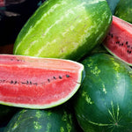 Citrullus lanatus watermelon seeds Sangria hybrid for planting