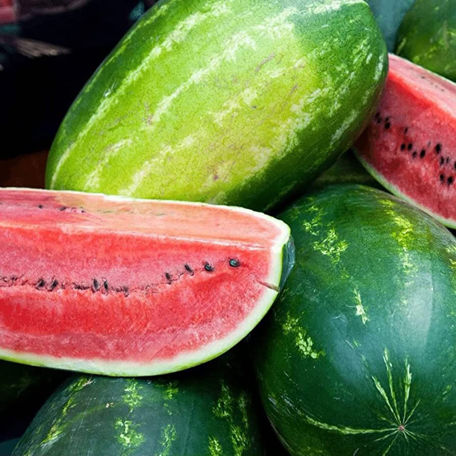 Citrullus lanatus watermelon seeds Sangria hybrid for planting