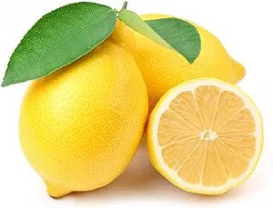 Citrus Citrus Limon Rare Lemon Tree Green Organic Fruit Seeds for Planting – Ideal for Indoor Pots and Home Gardens - Dharaseeds