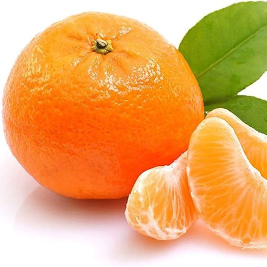 Citrus reticulata climbing kumquat type seeds for planting