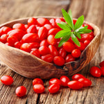Goji berry plant grown in containers for small space gardening