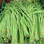Cow Pea Vegetable Seeds for Planting - 100 Pcs pcs - Dharaseeds