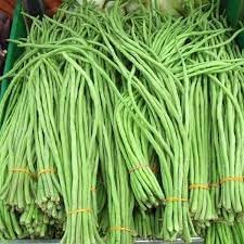 Cow Pea Vegetable Seeds for Planting - 100 Pcs pcs - Dharaseeds