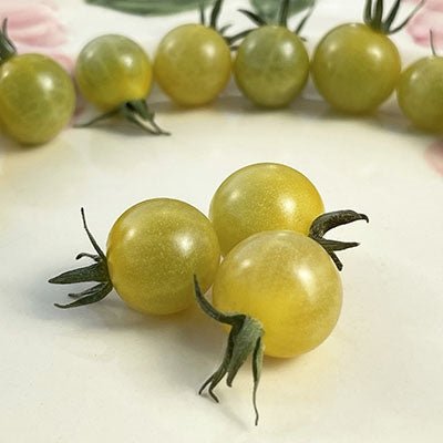 Coyote Tomato Solanum lycopersicum vegetable seeds for planting in small - space kitchen gardens - Dharaseeds