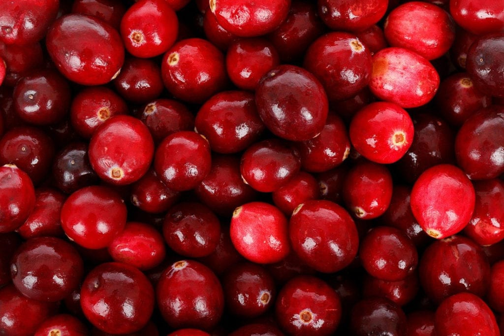 Craisin (Cranberry) (Vaccinium macrocarpon)