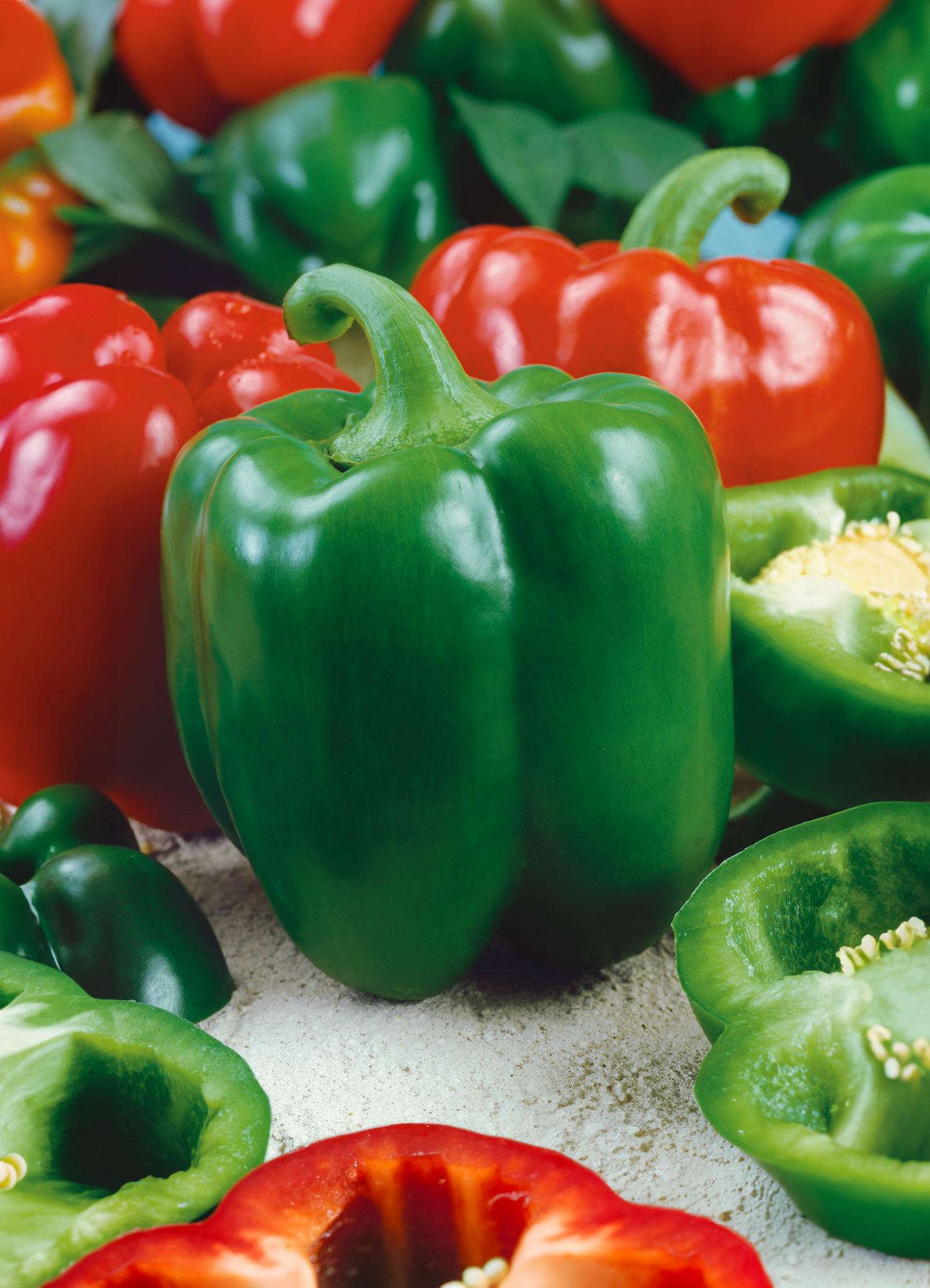 Pepper Capsicum annuum California Wonder vegetable seeds for planting in home garden or container pots