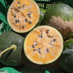 Crunchy texture watermelon seeds for home garden
