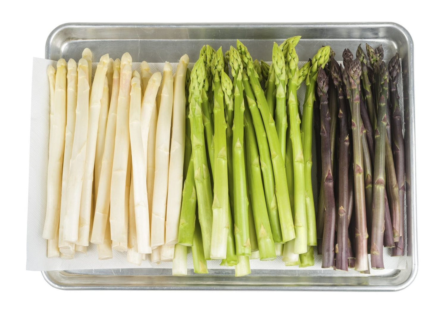 Jersey Knight Hybrid Asparagus Seeds | Thick Sweet Green Asparagus Spears – Heirloom, Non-GMO, High Germination Organic Garden Seeds