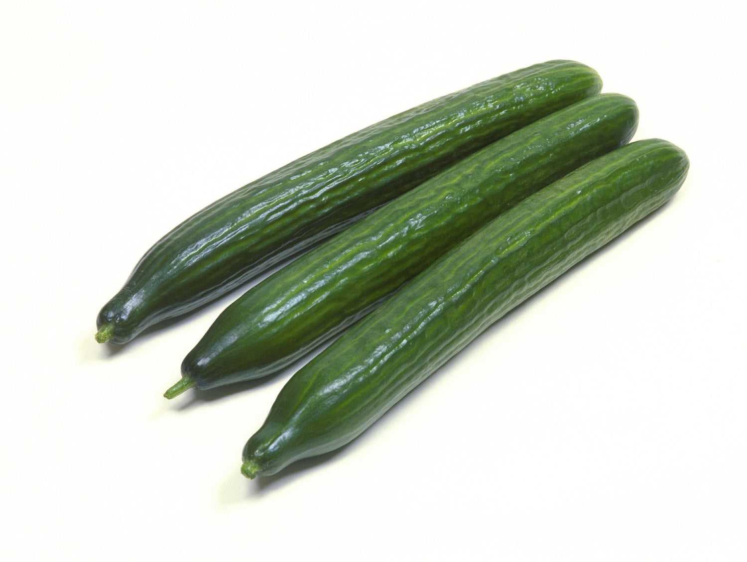 Cucumber Cucumis Sativus Dutch Vegetable Seeds for Planting – Ideal for Vertical Garden and Fresh Harvests - Dharaseeds