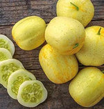 Cucumber Cucumis Sativus Lemon Vegetable Seeds for Planting – Unique Variety for Kitchen Garden and Fresh Eating - Dharaseeds