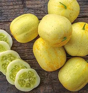 Cucumber Cucumis Sativus Lemon Vegetable Seeds for Planting – Unique Variety for Kitchen Garden and Fresh Eating - Dharaseeds