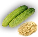 Cucumber vegetable Cucumis sativus green seeds for planting in kitchen garden beds or vertical garden setups - Dharaseeds