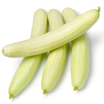 Cucumber ‘White Wonder’ vegetable seeds – heirloom variety with pale fruits - Dharaseeds
