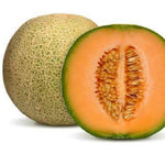 Cucumis melo honeydew seeds high germination for home gardening
