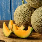 Cucumis melo Kolhospnytsya melon seeds for backyard planting