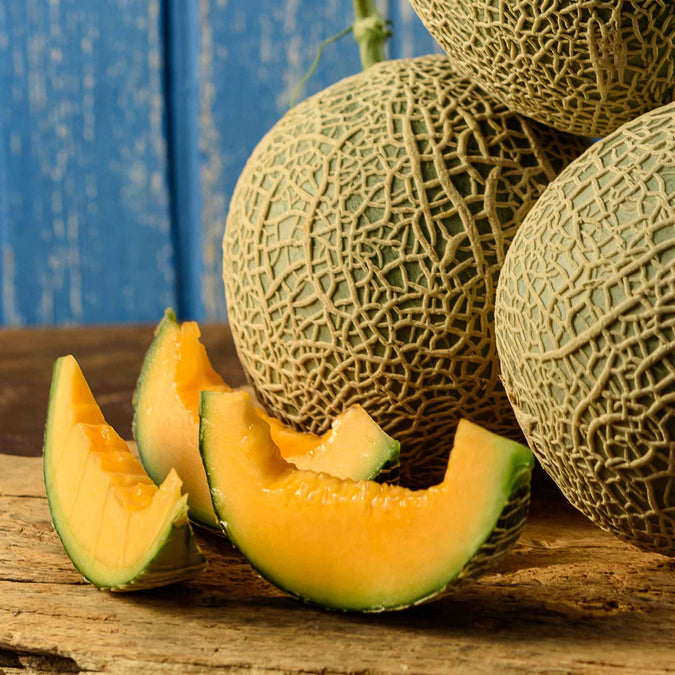 Cucumis melo Kolhospnytsya melon seeds for backyard planting
