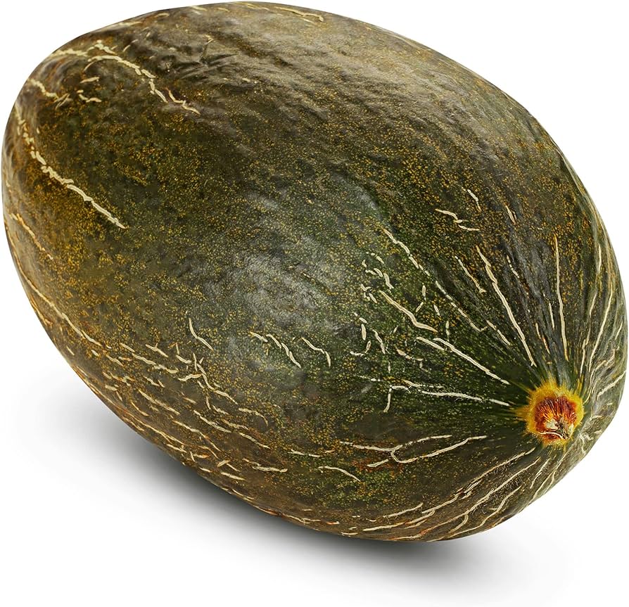 Cucumis melo Toad Skin melon seeds for raised beds