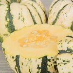 Cucurbita Vegetable Seeds for Planting - 100 Pcs pcs - Dharaseeds